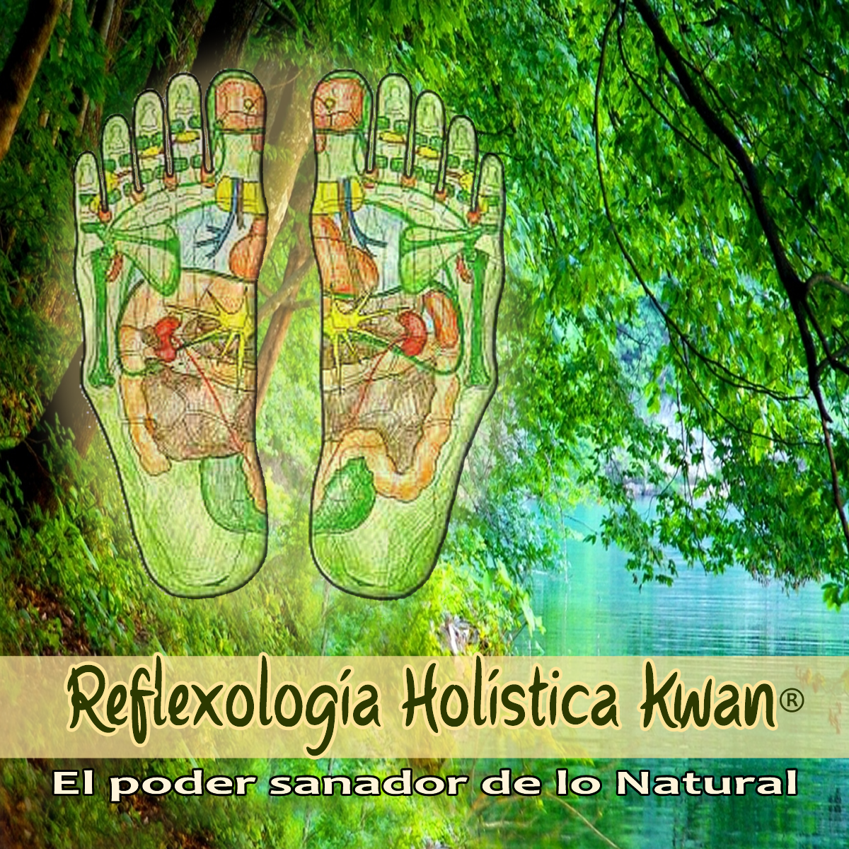 Reflexología Holística Kwan®