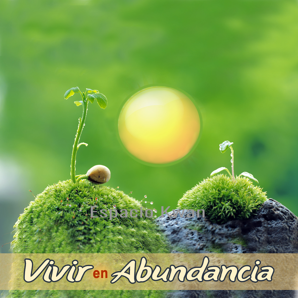 Vivir en Abundancia©